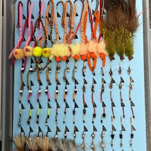May include: A clear plastic fly fishing tackle box containing an assortment of artificial fishing flies. The collection includes various colorful streamers, nymphs, and dry flies with hooks, organized in rows on a light blue foam insert.
