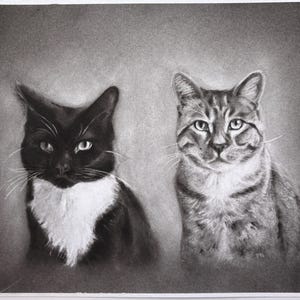 May include: A charcoal drawing on paper featuring two cats side by side. On the left, a black cat with a white chest and whiskers. On the right, a tabby cat with distinct striped markings on its face and body. Both cats have alert eyes.
