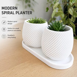 Könnte beinhalten: Zwei weiße Pflanzgefäße mit strukturiertem Spiralmuster auf einer ovalen weißen Schale. Die Gefäße enthalten kleine grüne Pflanzen. Der Text auf dem Bild lautet: MODERN SPIRAL PLANTER, Modern spiral design, Perfect for small plants & succulents, Durable & long lasting.