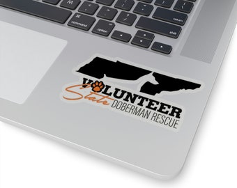 VSDR Sticker