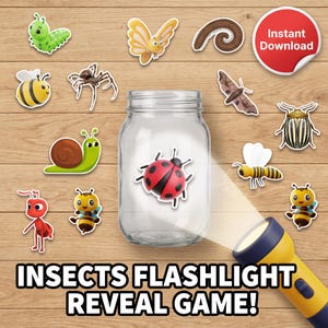 May include: A clear glass jar with a ladybug sticker on the front, surrounded by various insect stickers including a caterpillar, butterfly, bee, snail, ant, and spider. A yellow flashlight shines a beam of light, with text reading Instant Download.