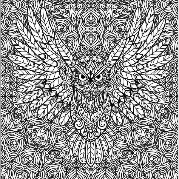 Giant Coloring Poster Adults & Kids - Fun Time for Families, Friends, Classrooms, Schools, and Groups ( Owl Coloring Poster)