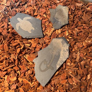 Laser-gravierte Fossil-Aquarium-/Terrarium-Dekoration - Realistische schwarze Schiefersteinverzierung für Aquarien und Terrarien, kleine Packung mit 6 Steinen