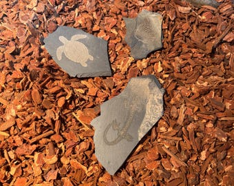 Laser-gravierte Fossilien- Dekoration aus Schieferplatte