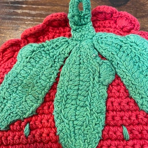 1960er Jahre Stricktopflappen - Erdbeer- und Regenbogen-Topflappen zum Aufhängen Bild 6