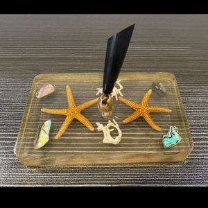 Vintage Seashell in Lucite Desktop Pen Holder