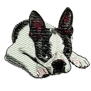 Boston Terrier Embroidery Design