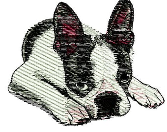 Boston Terrier Embroidery Design