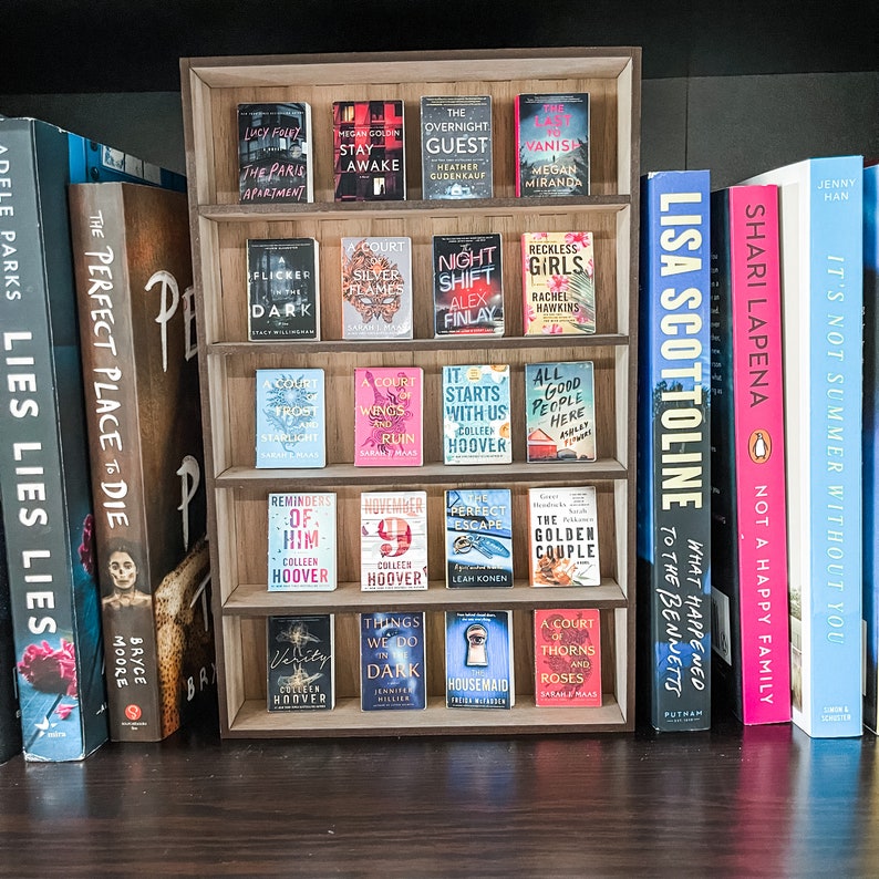 Mini bookshelf and micro books