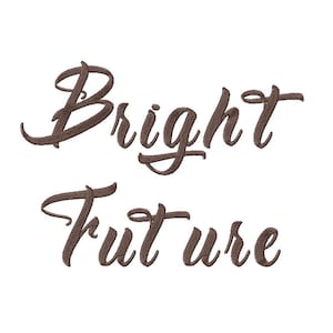 May include: A white background with the words "Bright Future" embroidered in brown cursive script. The embroidery has a textured look, with the letters slightly raised from the surface.