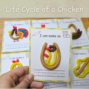 Tapetes de plastilina para imprimir sobre el ciclo de vida de un pollo, recursos científicos, actividad de plastilina para preescolar, estudio de unidad sobre el pollo, tarjetas visuales.