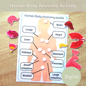 Human anatomy mtching activity for toddlers, Preschool learning toddler activities, Printable anatomy homeschool resources for kids.