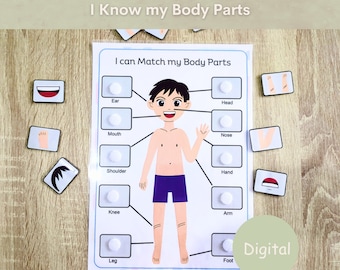 Body parts matching activity for toddlers, Printable busy book page, Preschool curriculum, Montessori busy book page, Homeschool resources.