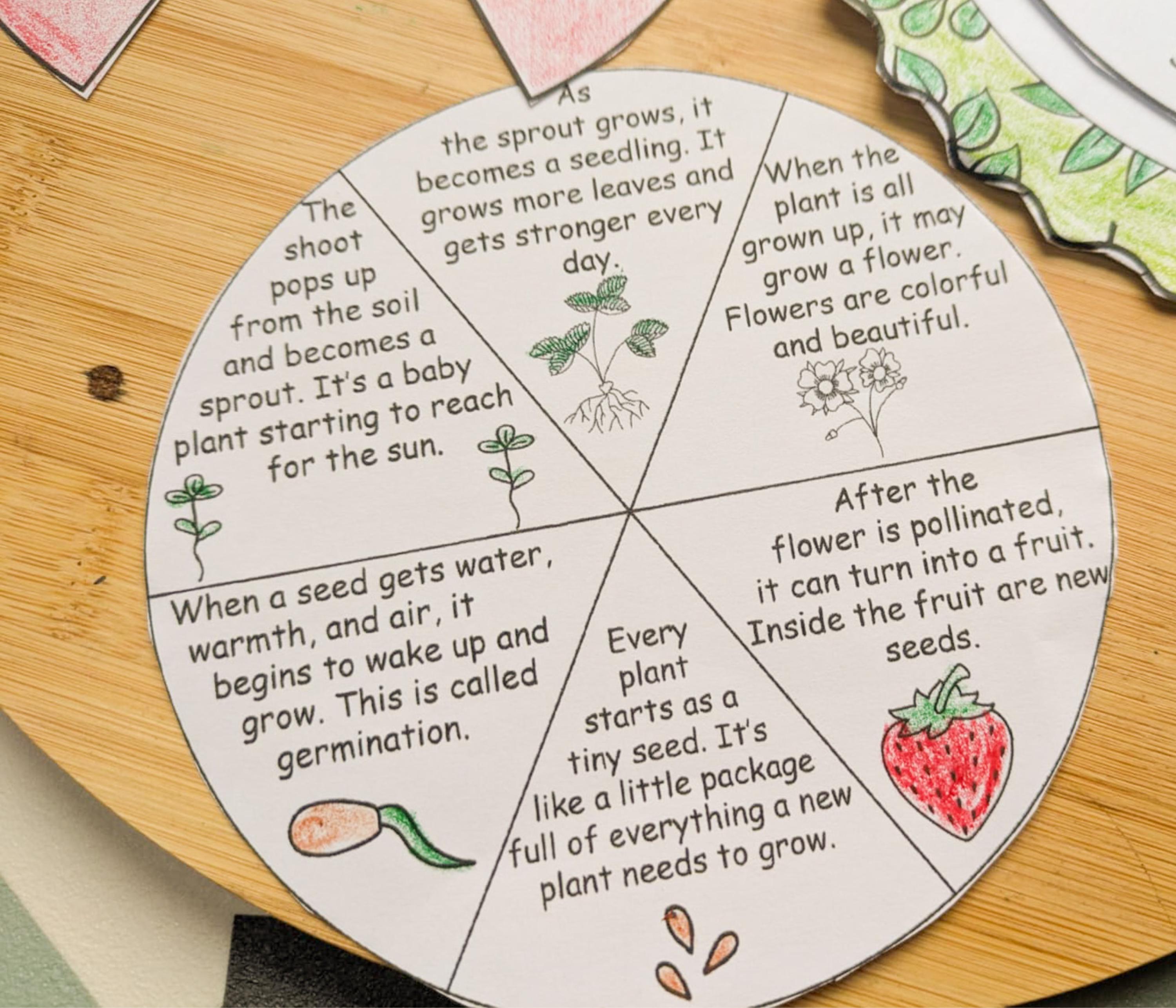 Life Cycle of a Strawberry, Homeschool Science Plant Unit Activity ...