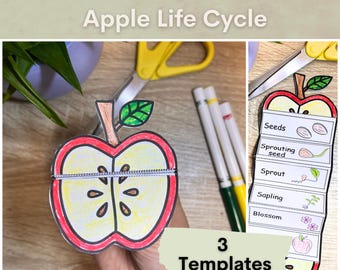 Life Cycle of an Apple Tree Foldable Activity for Kids Printable | A4 ...