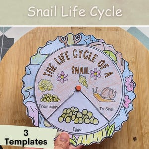 Może przedstawiać: Kolorowy, ręcznie rysowany diagram ilustrujący cykl życia ślimaka, z tekstem "Snail Life Cycle" na górze. Diagram przedstawia etapy od jaj do ślimaka, z tekstem "3 Templates" na dole.
