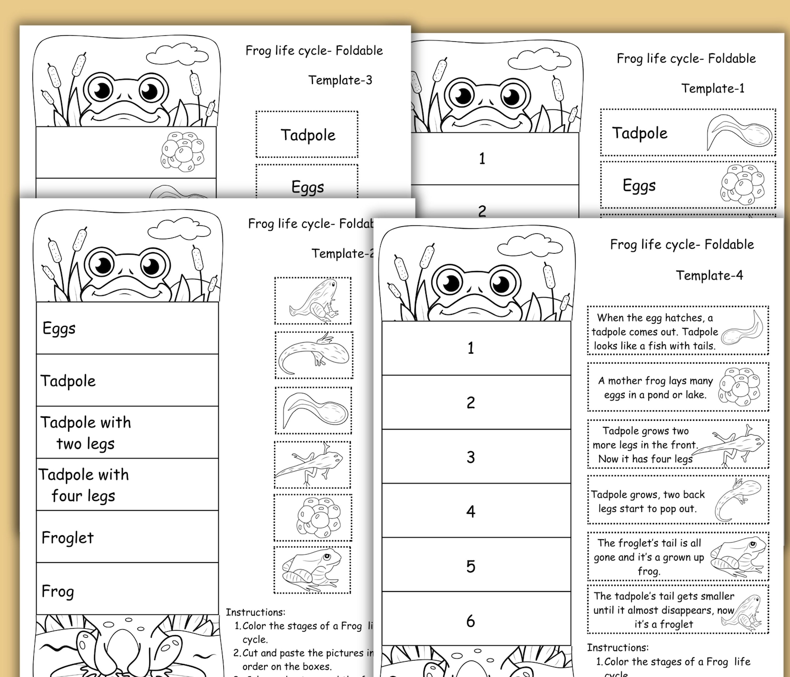 Frog Life Cycle Foldable Activity, Homeschool Science Unit Activity ...