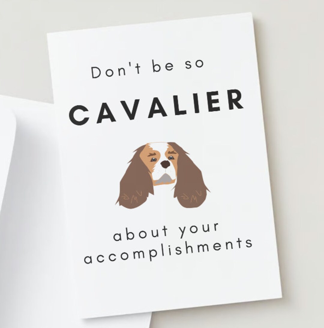 Don't Be so Cavalier Ireland