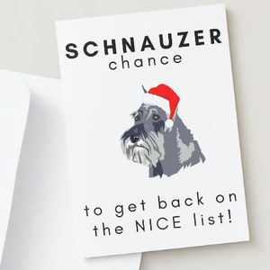 Schnauzer Chance-Natale