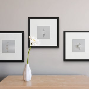 Arte de la pared de la playa, Conjunto de 3 aves playeras enmarcadas, garcetas, pájaros pequeños, pájaros enmarcados en negro, impresiones de pájaros pequeños, bellas artes, pájaros, envío gratuito