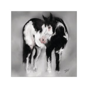 Stickers vinyles carrés American Paint Horse pour les amateurs de chevaux, parfaits pour les bouteilles d'eau et les ordinateurs portables, avec une mustang noire et blanche