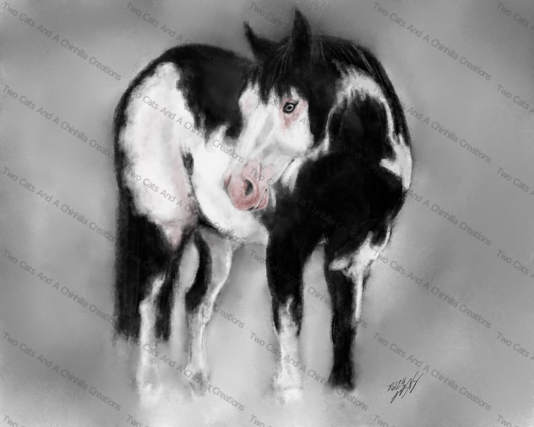 Foggy Mornings American Paint Horse Art Print Featuring a Black and ...