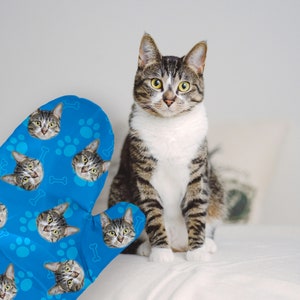 Könnte beinhalten: Ein blauer Topflappen mit Pfotenabdruck- und Knochenmuster. Der Topflappen ist mit Bildern von Katzenköpfen bedeckt. Eine getigerte Katze sitzt auf einer weißen Oberfläche.