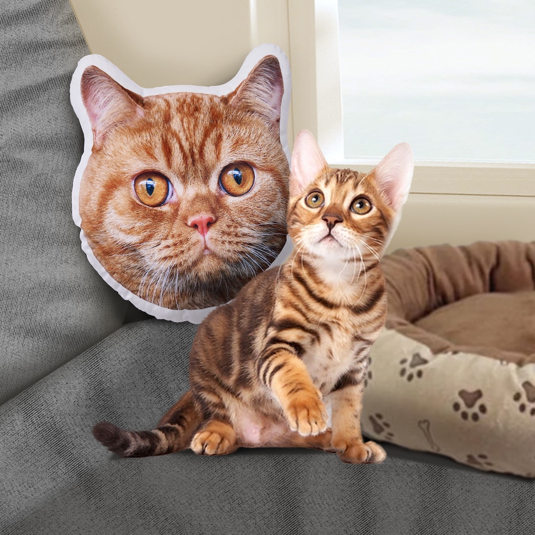 Personalized pet pillow custom animal decorative pillow dog pillow