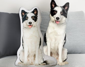 Personalized pet pillow, custom animal decorative pillow, dog and cat cushion and pet pillow