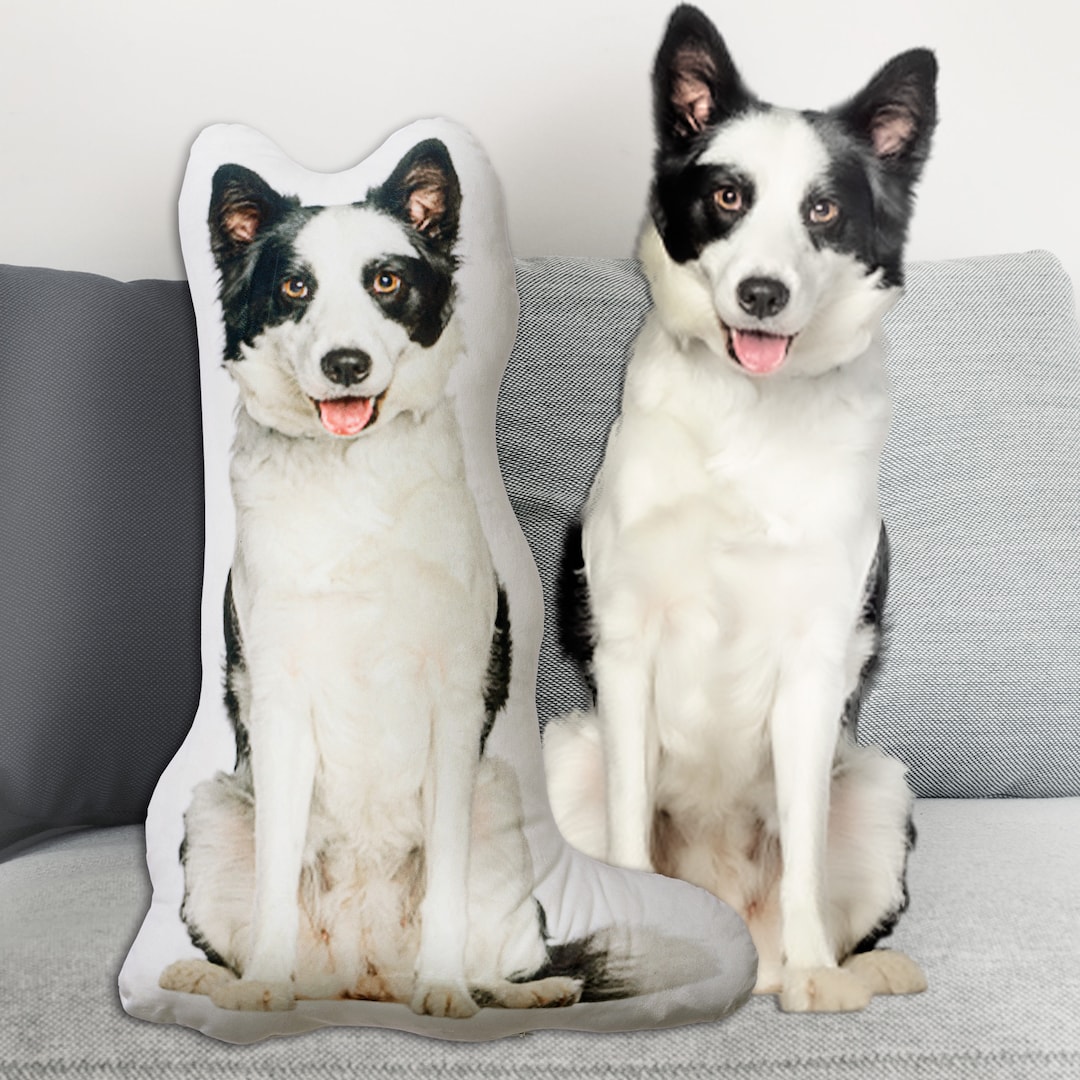 Personalized pet pillow custom animal decorative pillow dog and cat