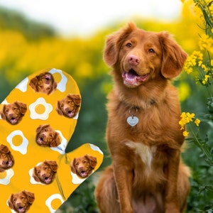 May include: A yellow oven mitt with a pattern of eggs and a dog's face. The dog is a brown and white Nova Scotia Duck Tolling Retriever.