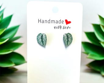 Handmade Scindapsus Exotica Leaf Stud Earrings: Plant Lover Gift