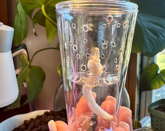 SET Self-Watering Alocasia Pup & Corm Cups - Set of 5+ - Domes included