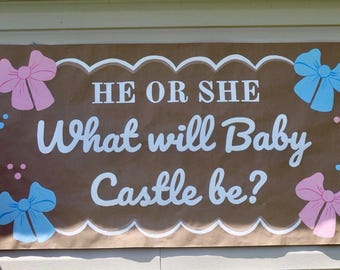 Gender Reveal-  “What Will Baby Be?” Banner | Pink & Blue Banner | Gender Reveal Party Banner