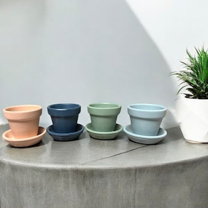 May include: Four terracotta plant pots in different colours: light pink, dark blue, light green, and light blue. Each pot has a matching saucer.