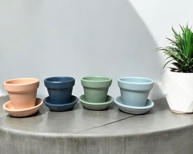 Hand Painted Terracotta Starter Plant Pot with Saucer - Please read description fully