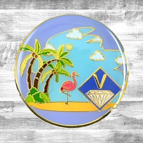 NA Beach Theme Anniversary Recovery Coin Medallion | Narcotics Anonymous | NA Birthday Token | Anniversary Medallion Sobriety Gifts
