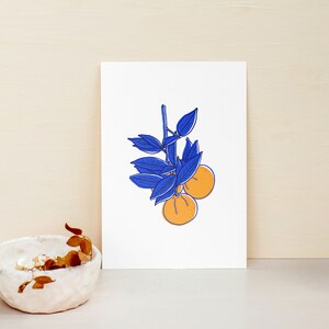 Fruit wall art kitchen Orange Illustration Printable wall art Orange citrus printable Citrus prints