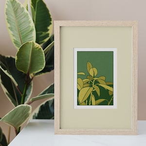 Tropical leaf printable wall art Instant download wall art Botanical wall art Leaves wall art botanical print, Ficus elastica plant