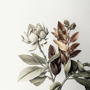 Botanical art