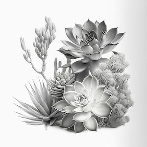 Succulent Sketch Printable Wall Art