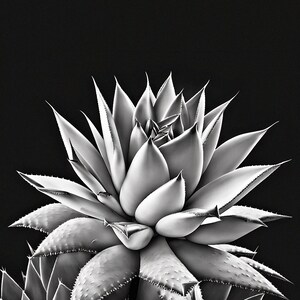 Succulent Digital Art Printable Wall Decor