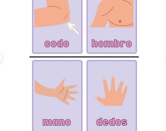 Parts of Body in Spanish Flashcards, Educational