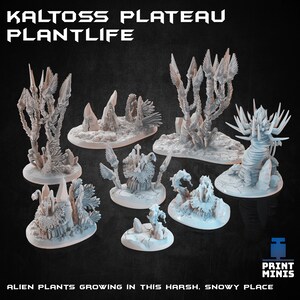 Kaltoss Plateau Terrain, Plants and Crystals | Print Minis | 13x Pieces