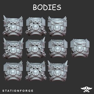 May include: Nine 3D printed plastic models of a skeletal torso with chains and a skull emblem. The models are labeled "BODIES" at the top of the image. The models are for use in tabletop games or miniature painting.