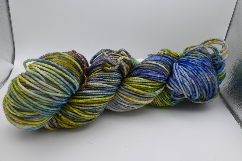 Hand Dyed Variegated Worsted Weight Yarn Etsy