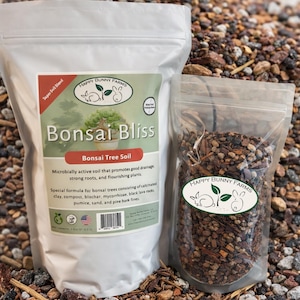 Bonsai Tree Soil, Bonsai Bliss