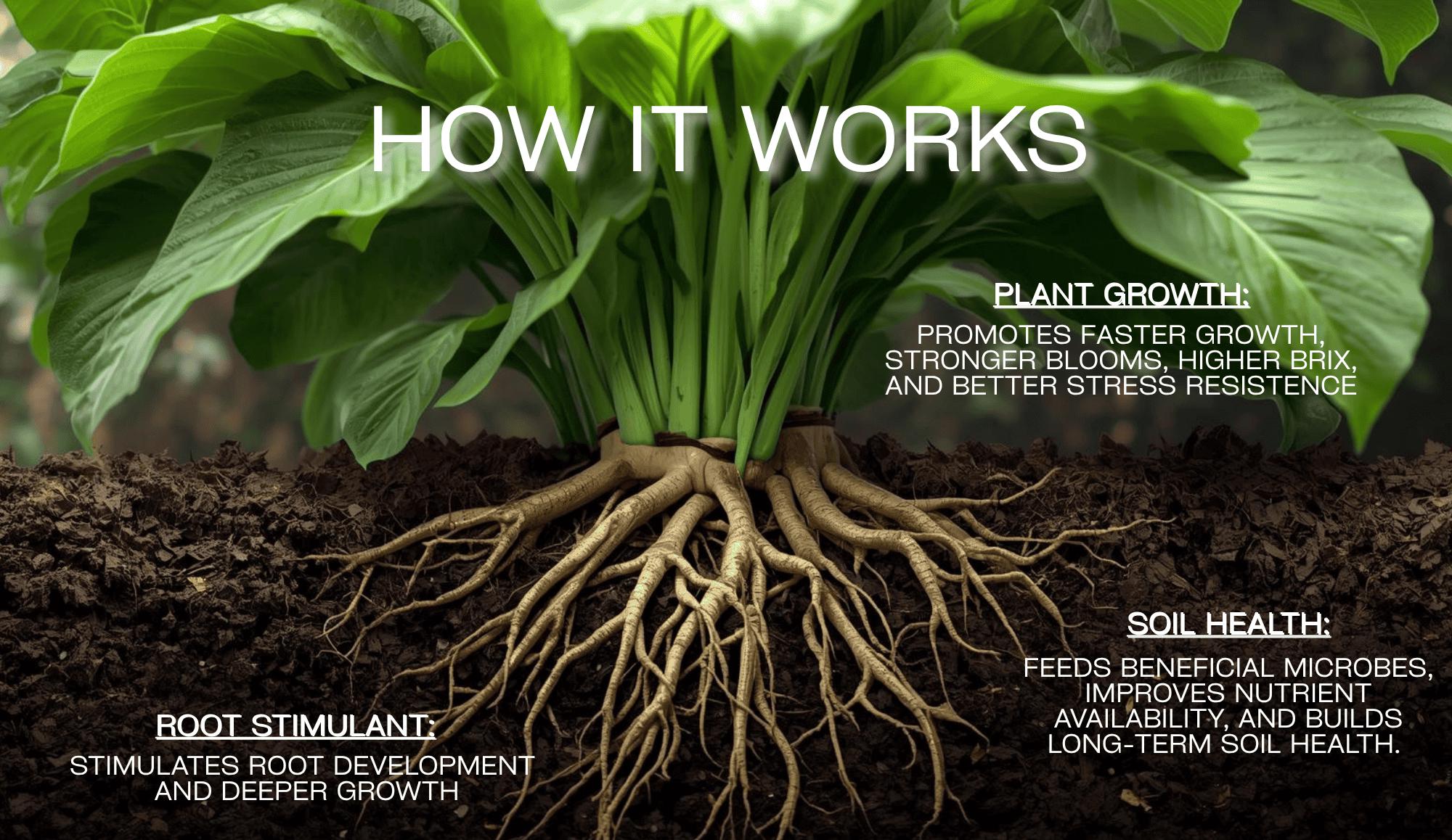 Eco-blast™ Instant Compost Tea – With Plant Probiotics, Mycorrhizae ...