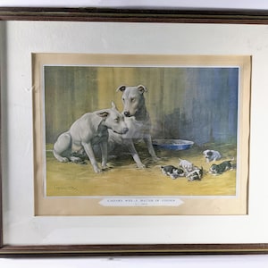 Christopher Gifford Ambler Bull Terrier Print: &#39;Caesar&#39;s Wife&#39;, Signed 1935