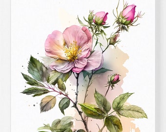Wild Rose - Rosa Acicularis - DIY Printable Art - Botanical Art - Gift for Her - Nursery Art - Flower Home Decor - Farmhouse Decor - Alberta